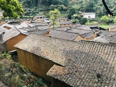 -杨家堂村