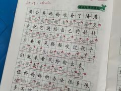 -赵汝飞练字硬笔书法(静安大融城校区)