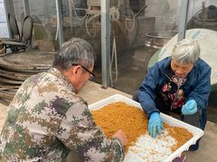 -苏州市吴中区光福窑上花果蜜饯厂