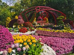 -上海共青森林公园