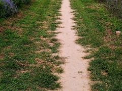 -北京东方普罗旺斯薰衣草庄园