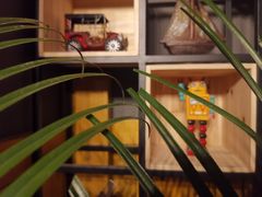 -伯爵·沉浸式超级密室·直营店