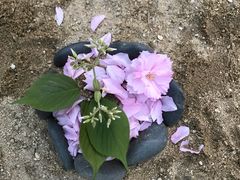 -滆湖低碳生态公园