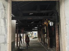 -乌镇东栅景区