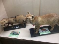 iphone_upload_pic-下渚湖国家湿地公园科普馆