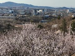 -白水寺森林公园