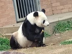 -苏州太湖国家湿地公园