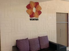 -ventus spa 沙巴亚庇正宗精油按摩会所