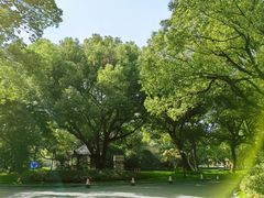 -上海兴国宾馆香樟园西餐厅