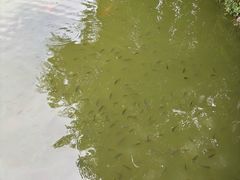 -珠海圆明新园