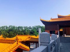 -深圳仙湖植物园-停车场