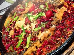 -老板恋上鱼(恒隆广场店)