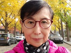 -三里屯东五街银杏大道