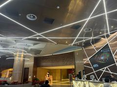 -南京禄口机场雅高铂尔曼大酒店