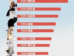 -翊宠yipet猫狗购宠庄园犬舍•猫舍