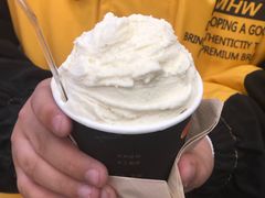 -野人先生现做冰淇淋(西安赛格店)