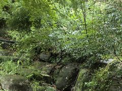 -黄公望隐居地