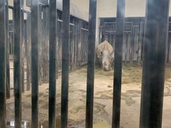 -新疆天山野生动物园