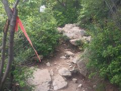 -阳台山自然风景区