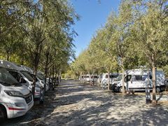 -TIPPI营地 房车主题·露营烧烤团建轰趴(天安假日店)