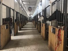 -枫露马术学院(藏书校区)