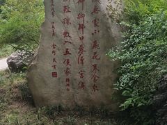 -唐城墙遗址公园