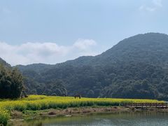 -广州市石门国家森林公园