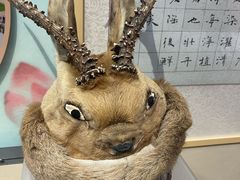 -齐齐哈尔市博物馆