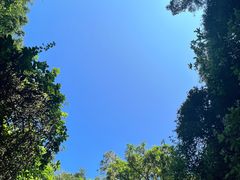 -海口火山口国家地质公园