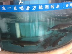 -年辉渔村