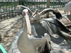 -水上乐园·欢乐世界