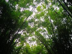 -晓港公园