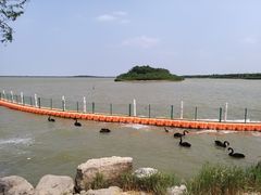 -天津东丽湖风景区