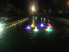 -运河游船(武林门码头)