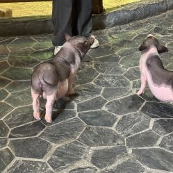 -Zoolung Zoolung动物主题公园(海信广场店)