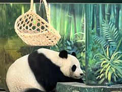 -天津市动物园