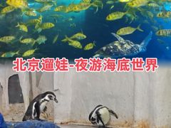 -太平洋海底世界