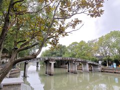 -金泽古镇