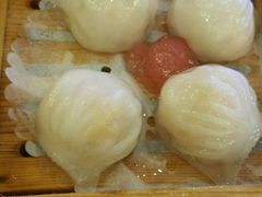 -琼菜王(南海店)