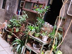 -小洲村
