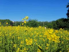 -长春公园(普阳街道)