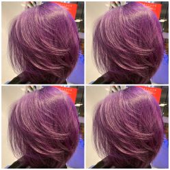 -京世沙龙