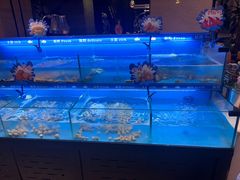 -太湖饭店玉兰厅(自助餐厅)