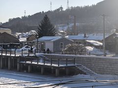 -横道河子东北虎林园