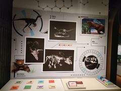 -正佳自然科学博物馆