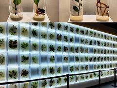 -广东中医药博物馆