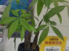 -雅悦齿科(顾村公园店)