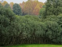 -重庆中央公园(渝北区)