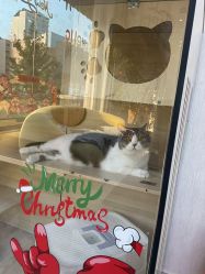 -苗医生草本科技祛痘