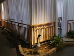 -醉霖生态餐厅(交大店)